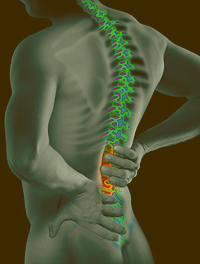 Picture of a spine